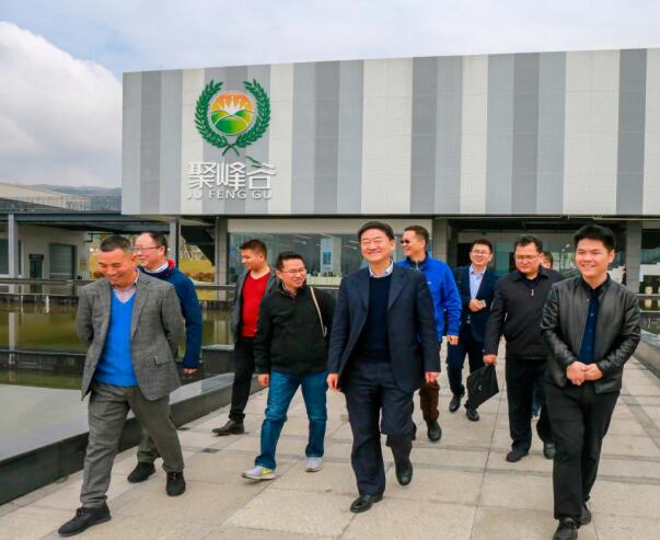 集团党委书记、董事长任丁率队调研聚峰谷